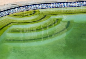 Why Your Pool Turns Green